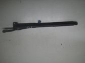 Tailgate/trunk strut/damper
