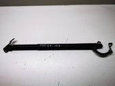 Tailgate/trunk strut/damper