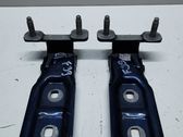 Tailgate/trunk/boot hinge