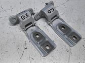 Tailgate/trunk/boot hinge