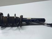 Front shock absorber with coil spring