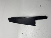 Rear door glass trim molding