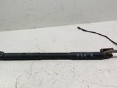 Tailgate/trunk strut/damper