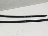 Windshield trim