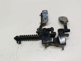 Tailgate/trunk/boot hinge