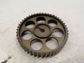 Camshaft pulley/ VANOS