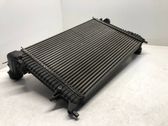 Intercooler radiator