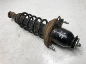 Rear shock absorber/damper