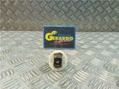 Interruptor del elevalunas eléctrico