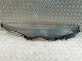 Moldura del limpia