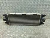 Radiador intercooler
