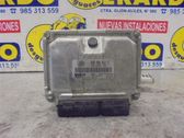 Engine control unit/module ECU