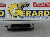 Engine control unit/module ECU