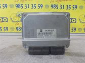 Engine control unit/module ECU