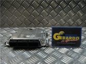 Engine control unit/module ECU