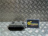 Engine control unit/module ECU