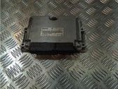 Engine control unit/module ECU