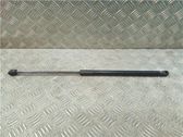 Front bonnet/hood damper/strut