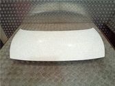 Motorhaube
