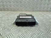 Engine control unit/module ECU
