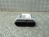 Engine control unit/module ECU