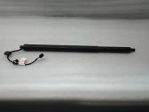 Tailgate/trunk strut/damper