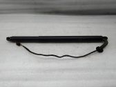 Tailgate/trunk strut/damper