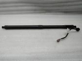 Tailgate/trunk strut/damper