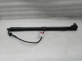 Tailgate/trunk strut/damper