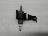 Webasto auxiliary heater fuel pump