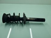 Amortiguador delantero con muelle espiral
