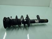 Amortiguador delantero con muelle espiral