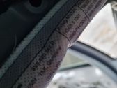 Airbag de la puerta delantera
