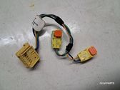 Other wiring loom