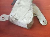 Airbag de la puerta delantera