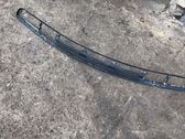 Front bumper lower grill