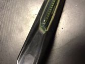 Front fender indicator light