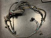 Front door wiring loom