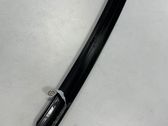 Rear door glass trim molding