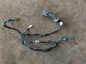 Rear door wiring loom