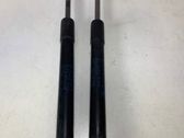 Front bonnet/hood damper/strut