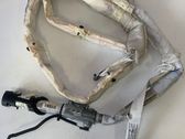 Roof airbag