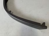 Rear/tail light trim molding