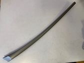 Moulure/baguette de porte avant