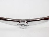 Front bumper upper radiator grill