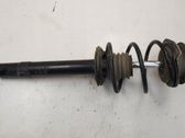 Front shock absorber with coil spring