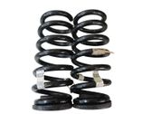 Rear coil spring