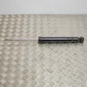 Rear shock absorber/damper