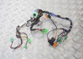 Brake wiring harness