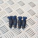 Fuel injectors set